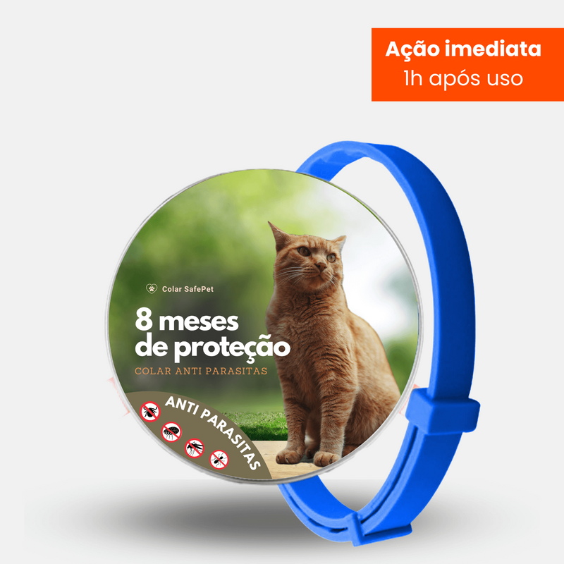 Animais de estimação