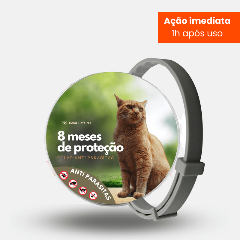 Animais de estimação