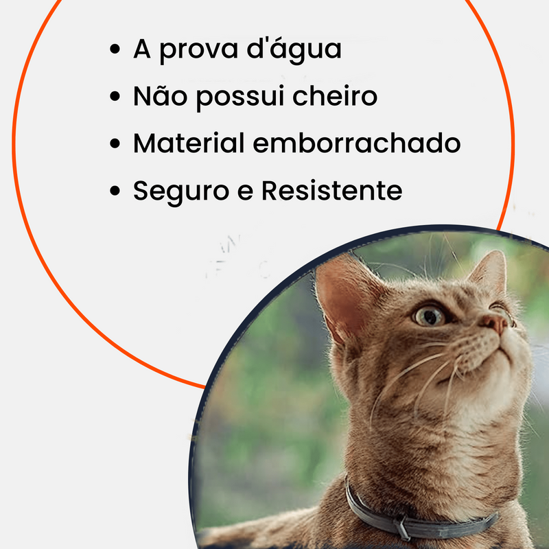 Animais de estimação